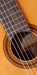 A5 Z rosette.jpg
